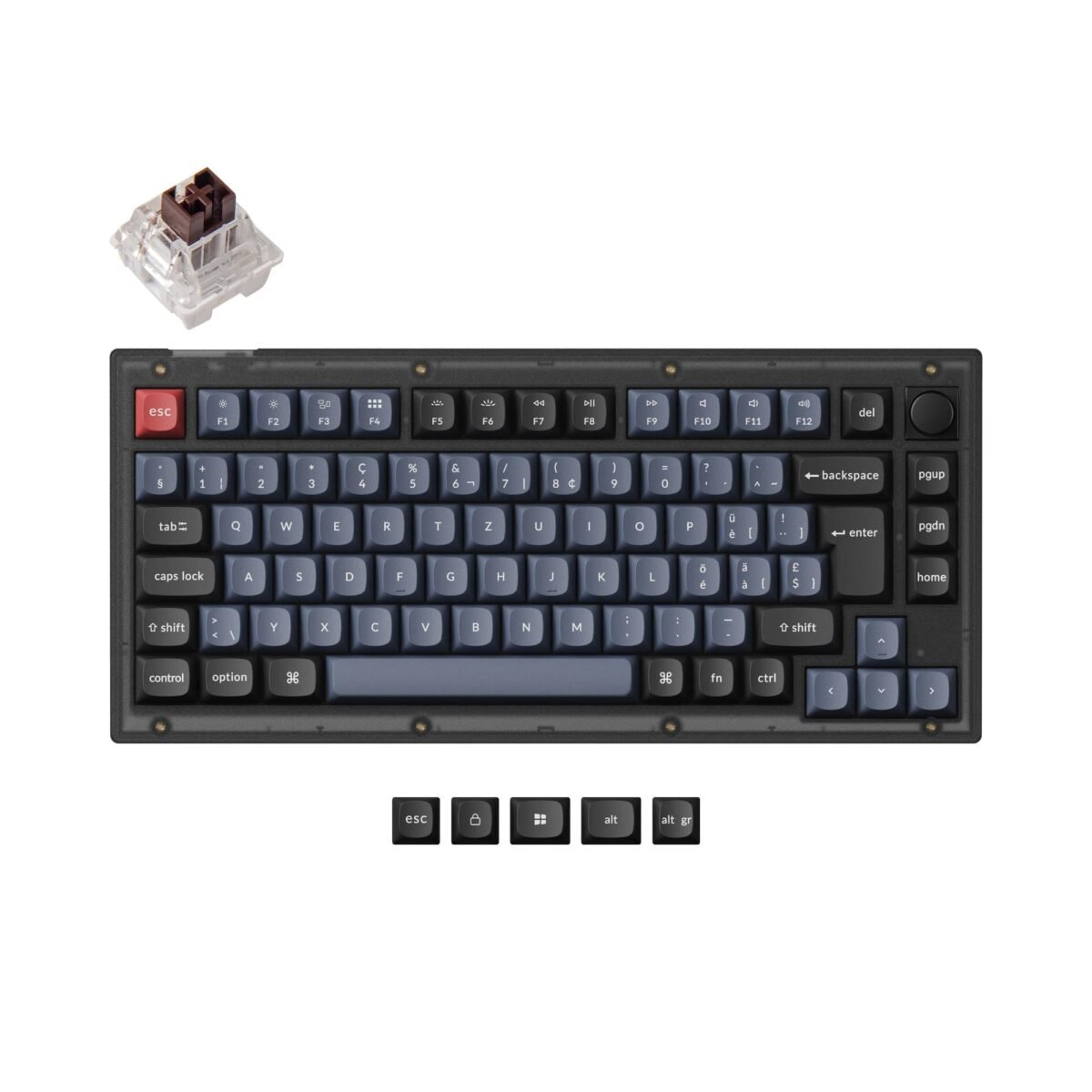 Keychron V1 QMK VIA custom mechanical keyboard 75 percent layout hot-swappable PBT keycaps Keychron K Pro switch brown ISO Swiss layout